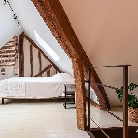 Grand Duplex Design 150m2 En Plein Coeur De Tours, Proche Gare, Vue Sur Cathedrale Apartment Tours